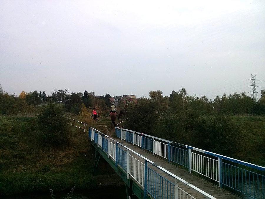 Qnie idą!