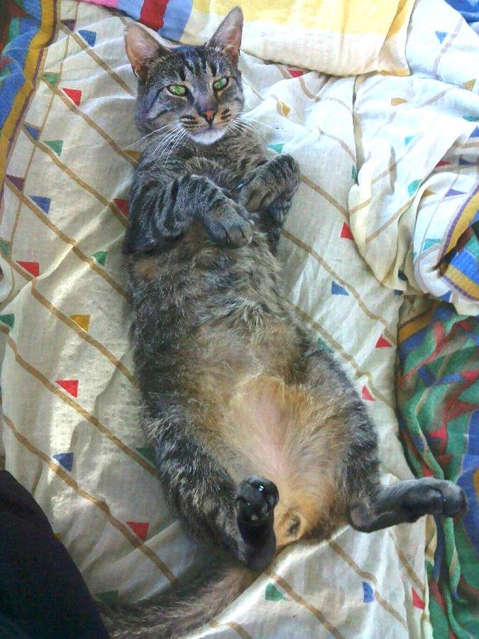 Franko :-)