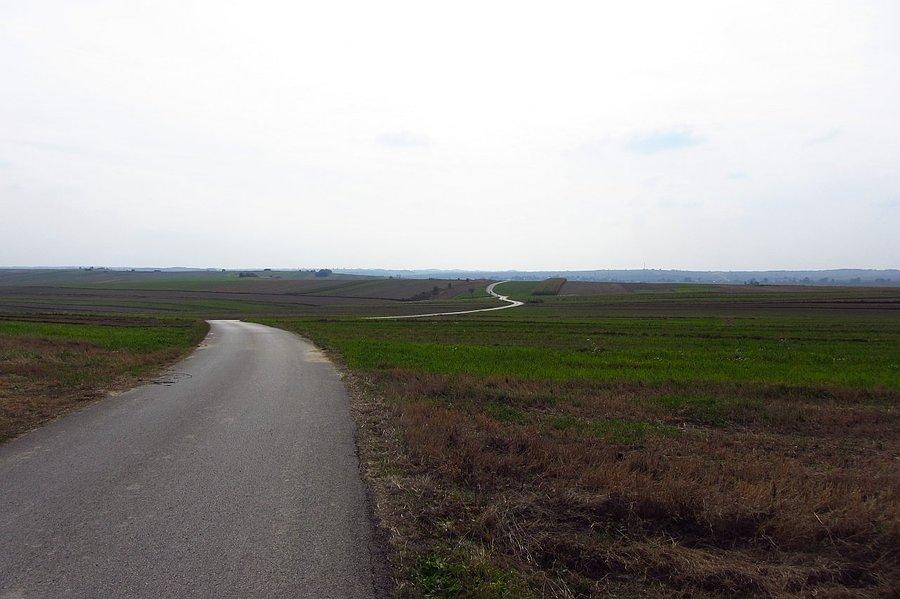 Serpentynki przed Sułoszową