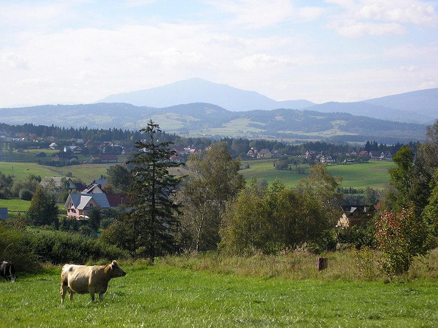 Babia