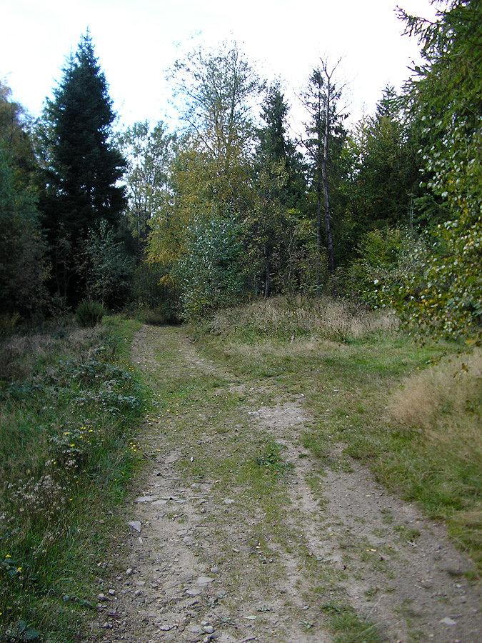 Niebieski szlak. Odcinek łatwiejszy