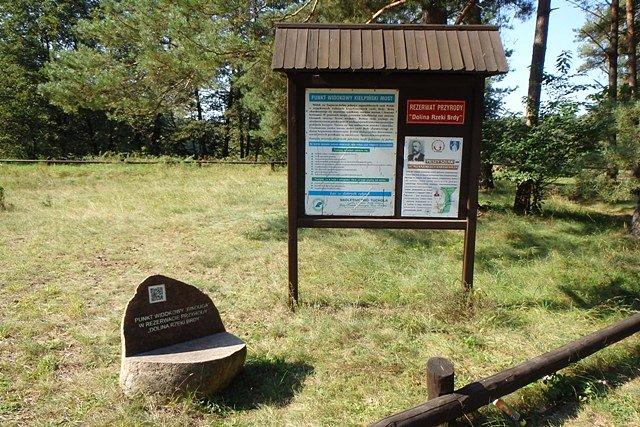 Na terenie rezerwatu "Dolina Rzeki Brdy" między Gołąbkiem a Kiełpińskim Mostem