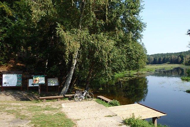 Na pierwszym planie punkt postojowy w Dolince, a dalej Brda w okolicach Pakotulska