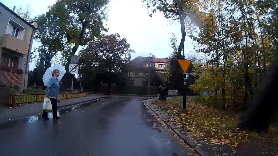 Nie patrząc wlazła na drogę... dopiero gdy trochę ją postraszyłem łaskawie wyjrzała zza parasola