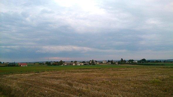 Pola w Osmolicach