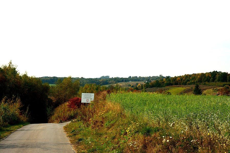 Podkazimierski krajobraz