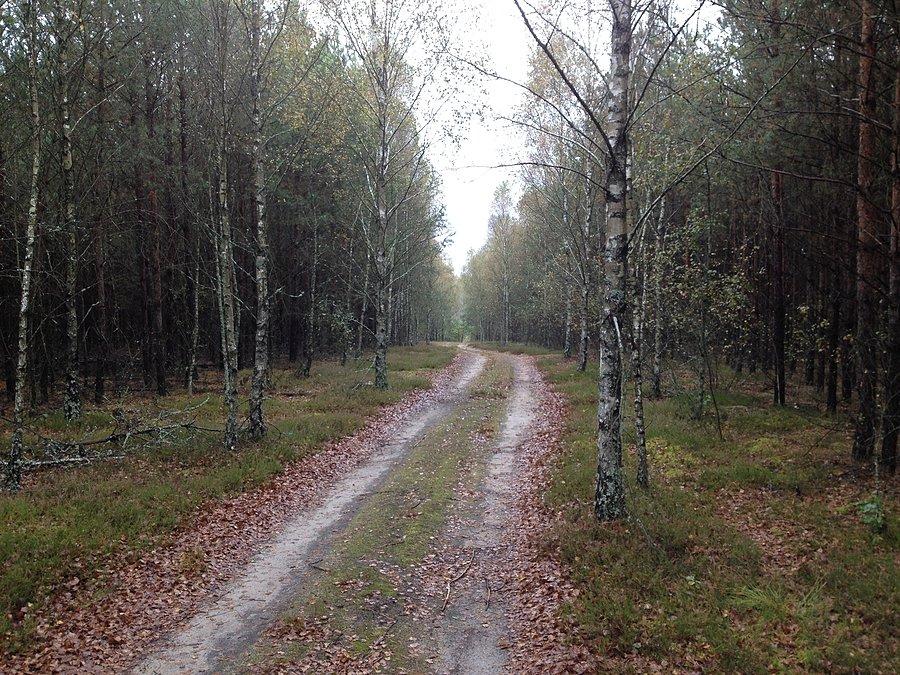 Kierunek Jezioro Święte / między Miałami a Mężykiem