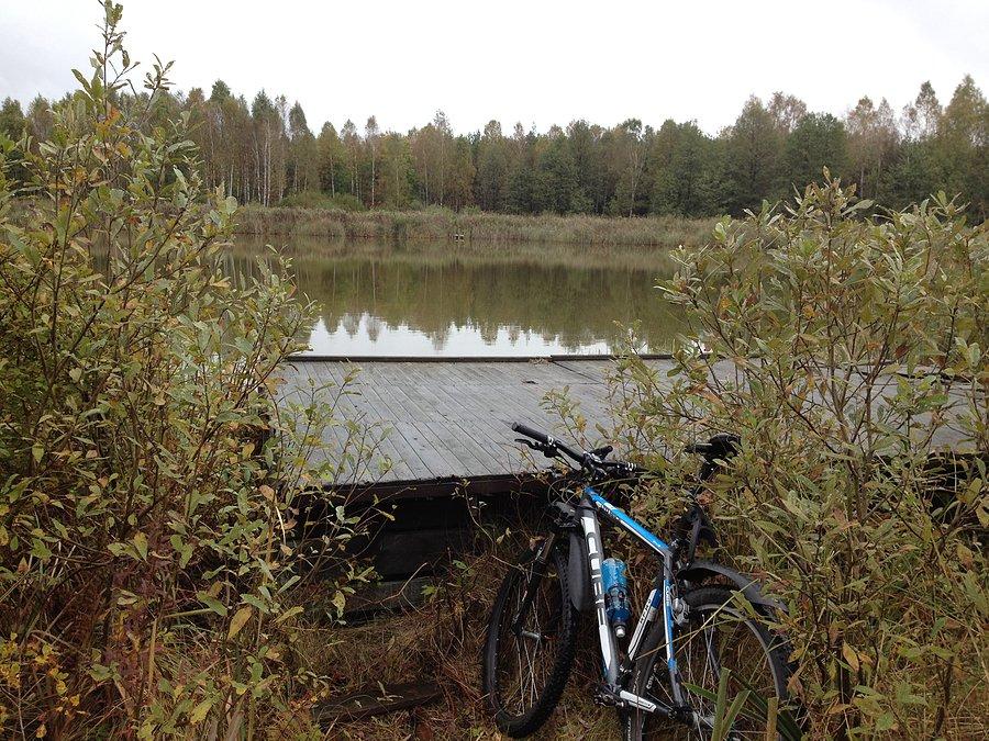 Pomost nad jeziorem