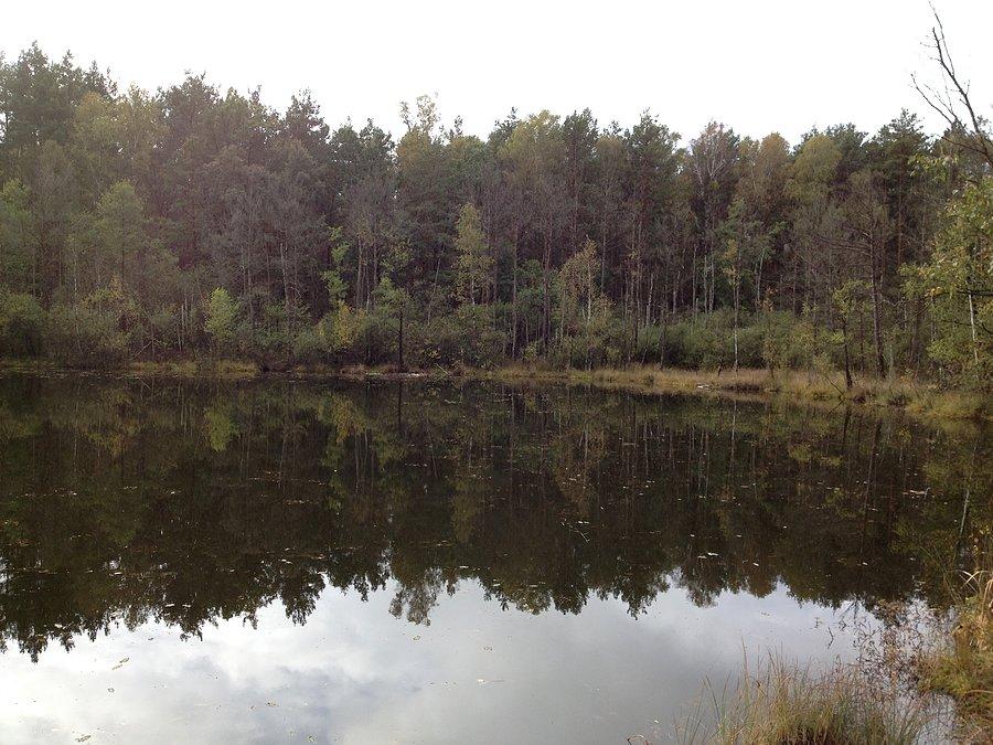 Rezerwat Wilcze Błoto cd