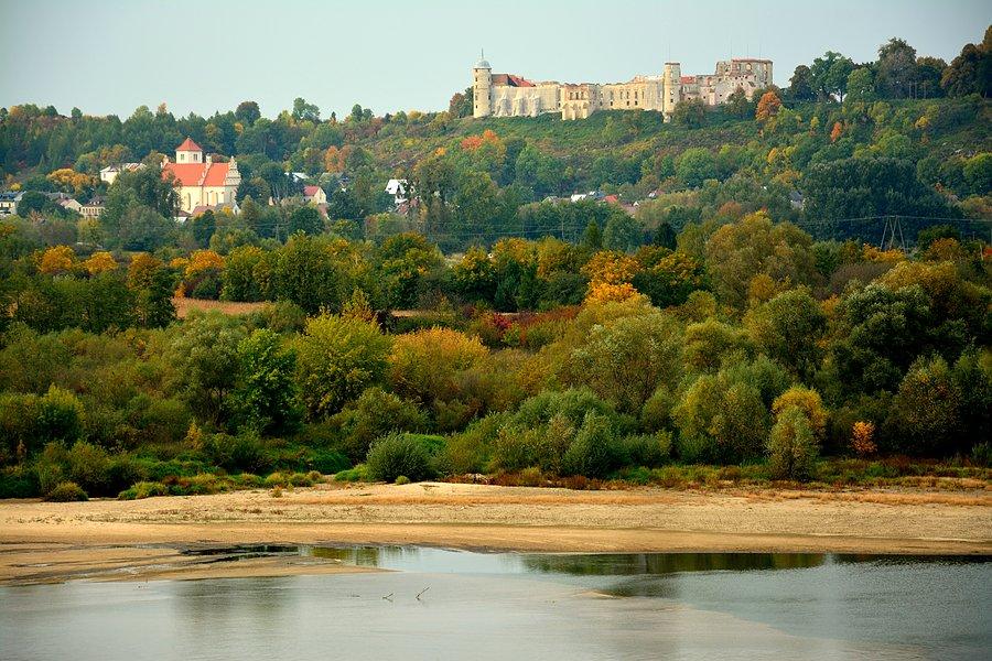 Janowiec z Mięćmierza