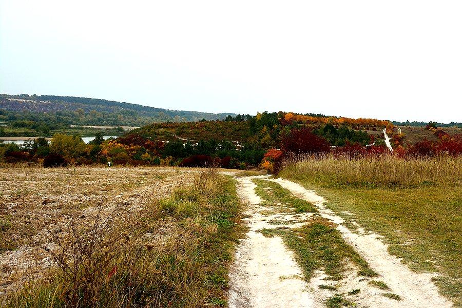 Skarpa Dobrska