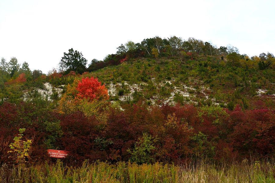 Rezerwat Przyrody Skarpa Dobrska