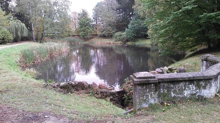 Staw w parku na Zdrowiu