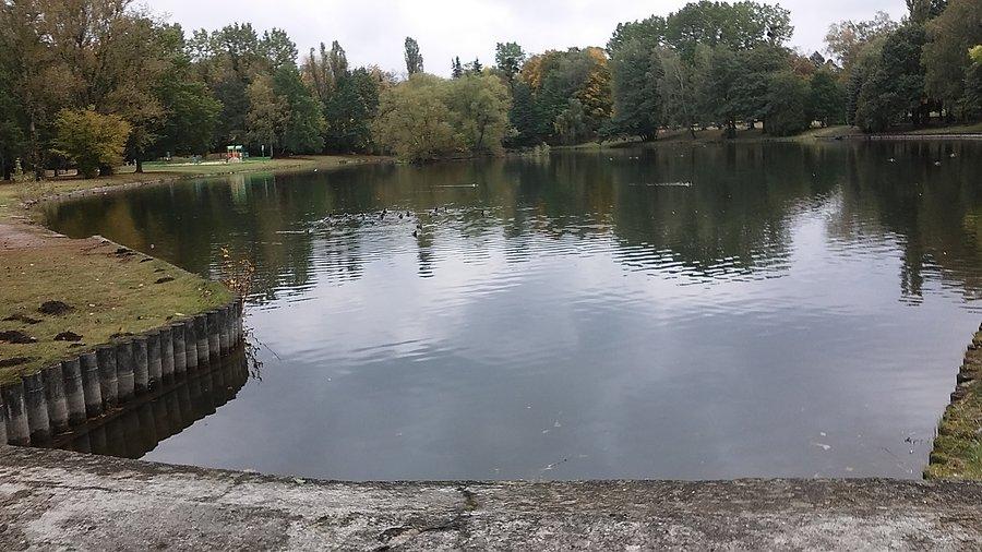 Staw w parku na Zdrowiu