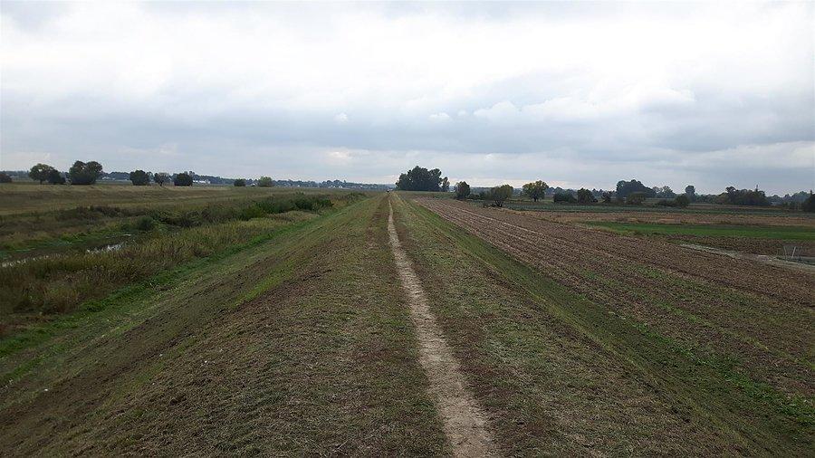 Dróżka na wale Jeziorki do Konstancina