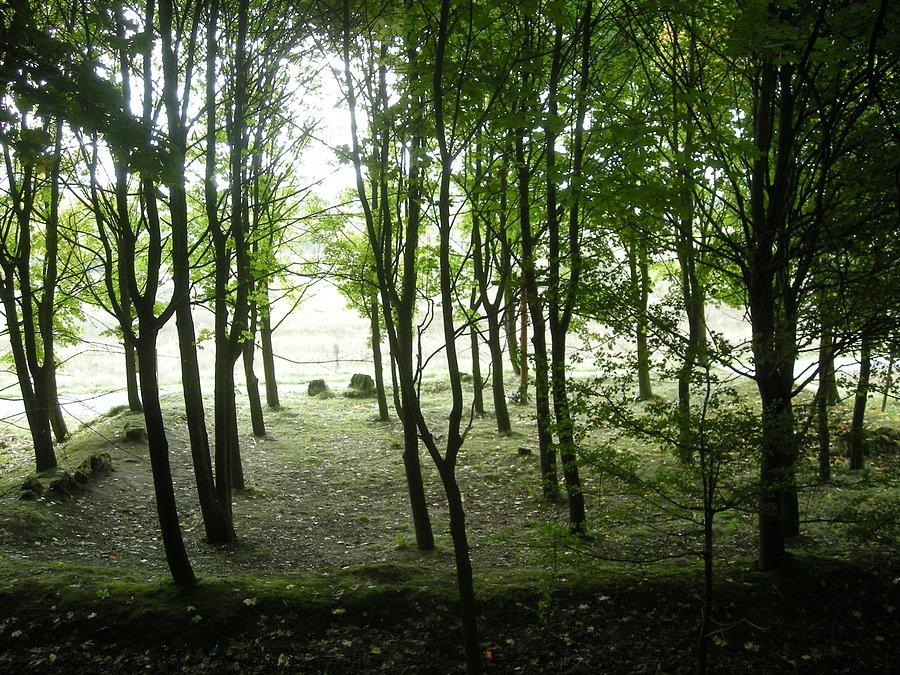 Cmentarz Choleryczny w Wancerzowie (2)