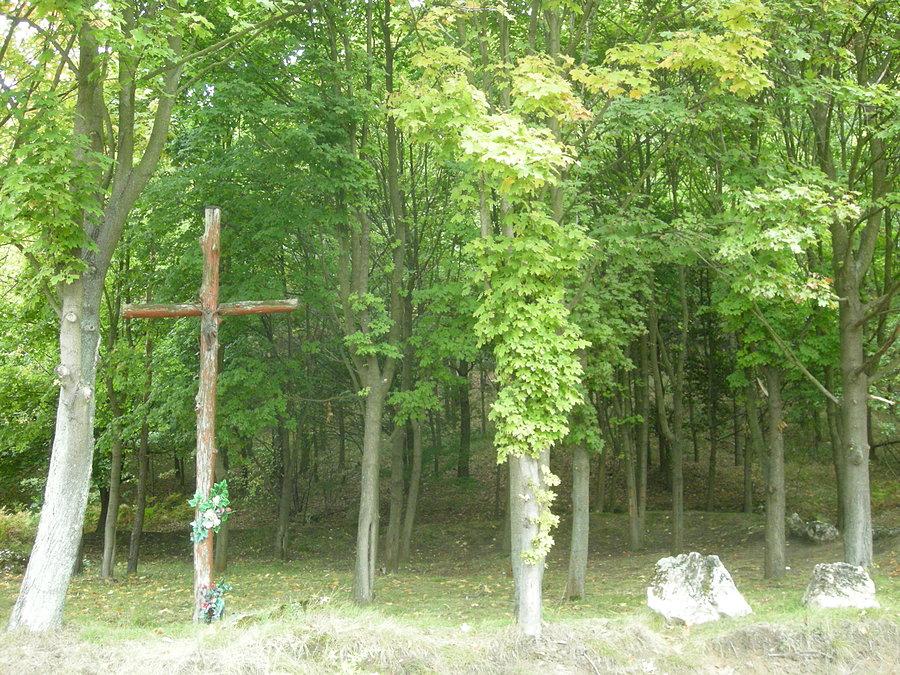 Cmentarz Choleryczny w Wancerzowie (3)
