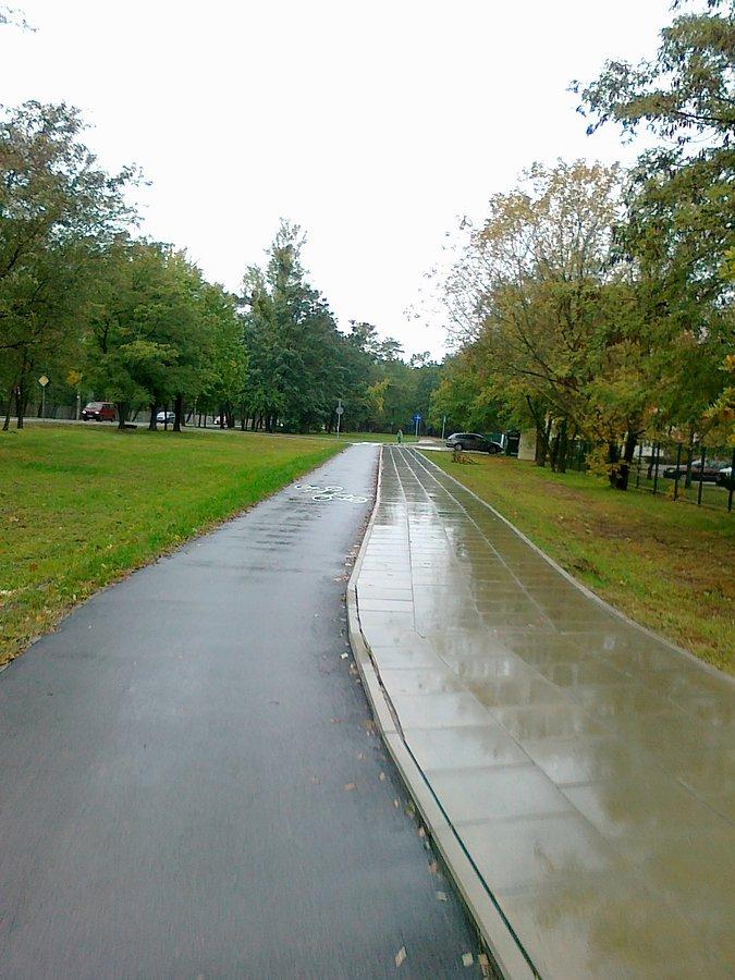 Mokro na drodze rowerowej