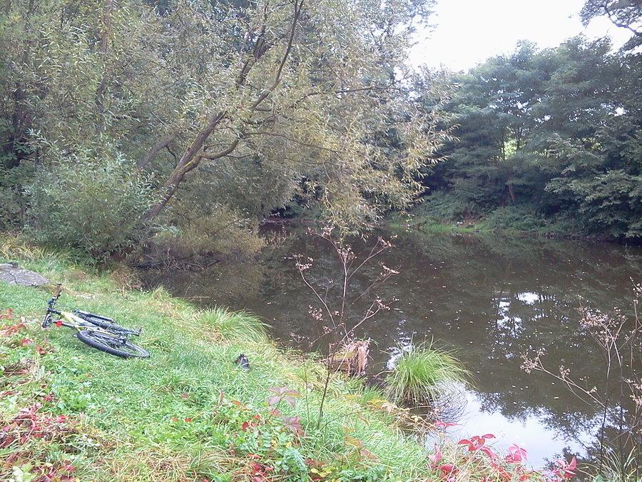 Stawek koło Frantiski