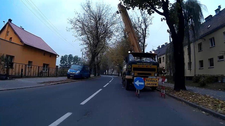 Przycinanie drzew