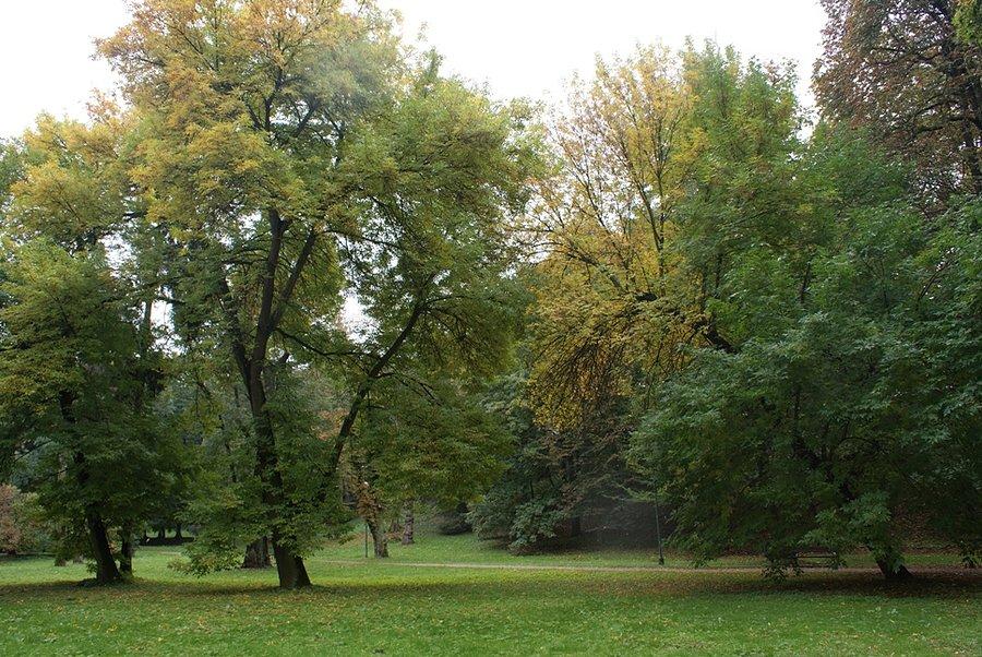 W jesiennym parku