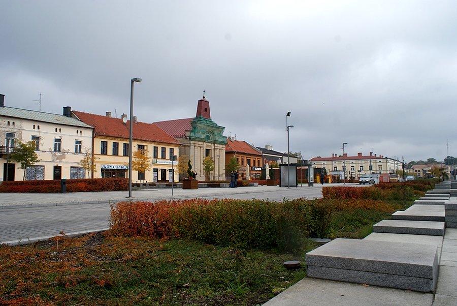 Kolorowe żywopłoty na Placu Kościuszki