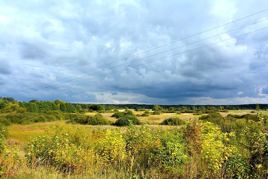 Poleski krajobraz