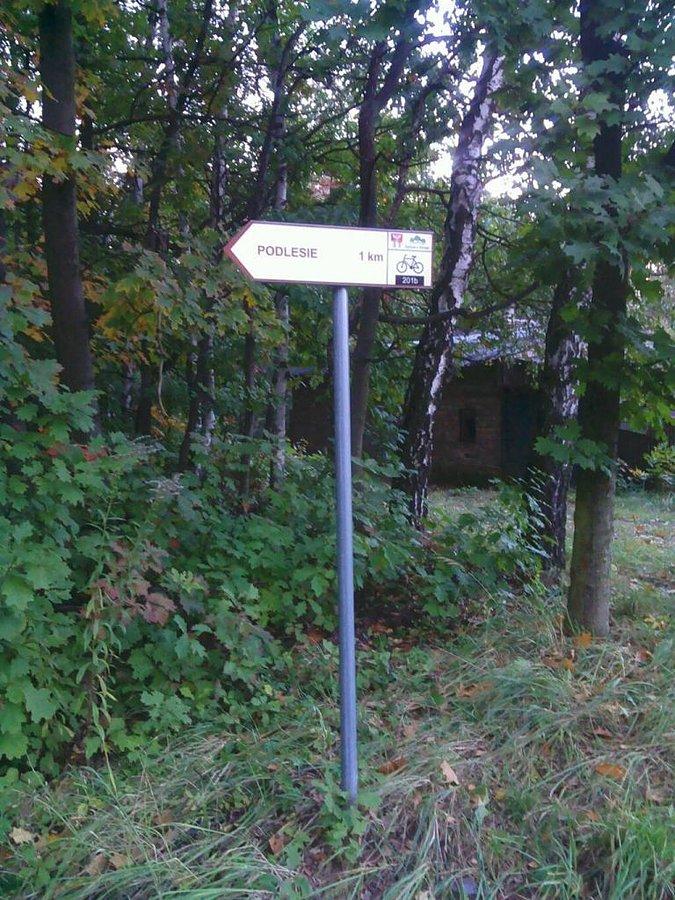 W lesie jesień
