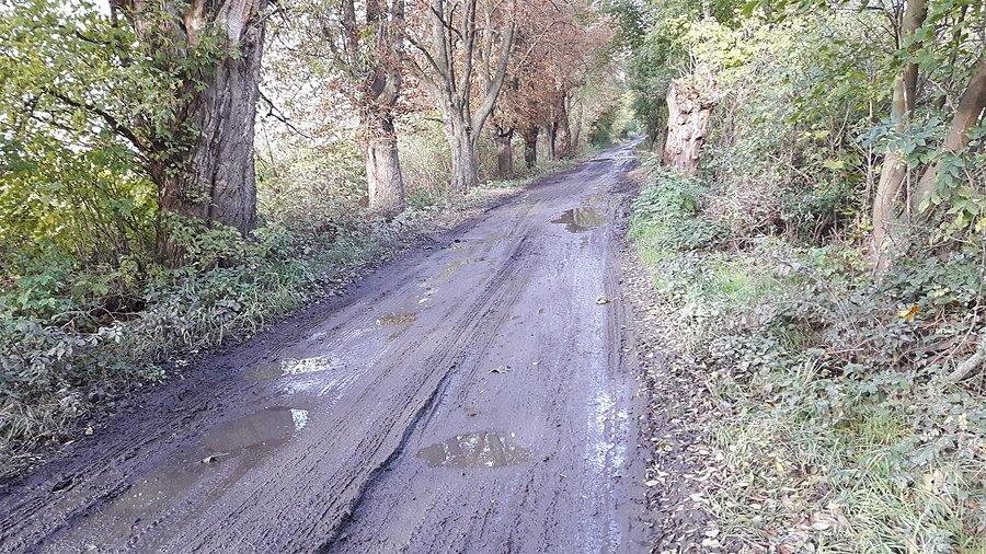 Ulica Żyzna prowadzi przez Kręczki do Kaput