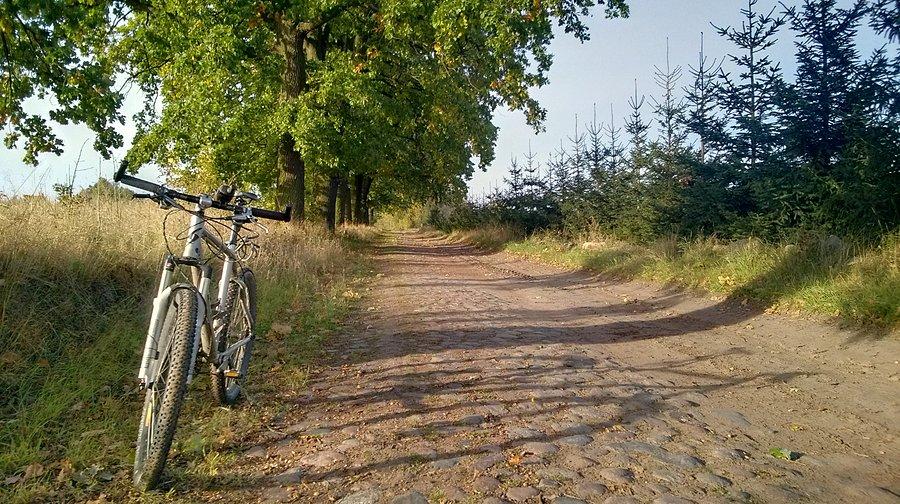 Droga do nikąd