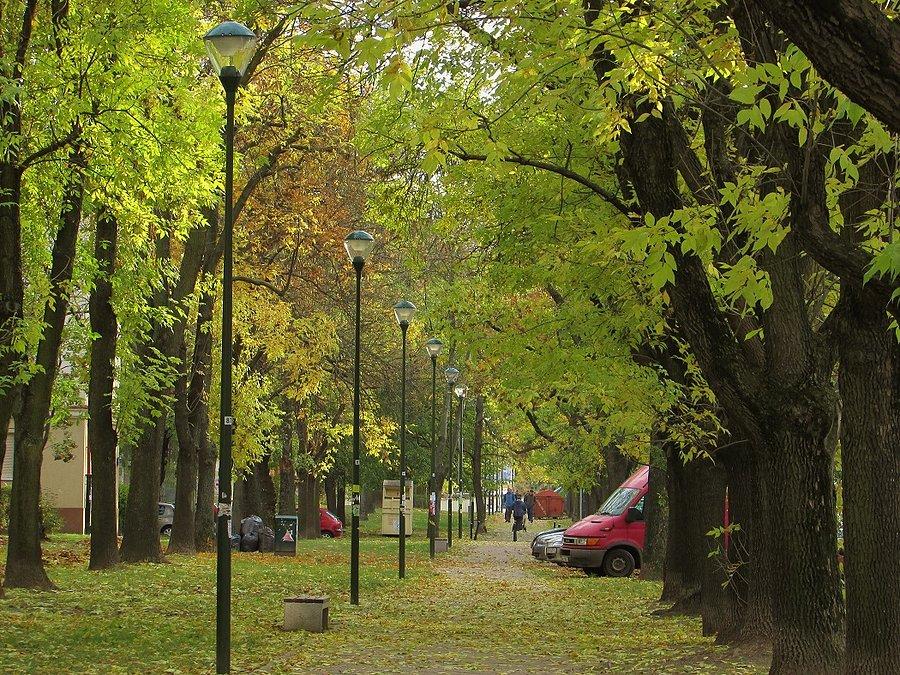 Ulica Obrzeżna - chodnik przy dwunastce