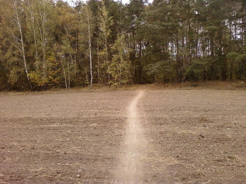 Ścieżka przez pole