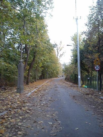 Ulica Świętojańska została wyasfaltowana na odcinku od Alei Kalin do mostku na Jeziorce. , teraz dojazd rowerem do Żabieńca to przyjemność