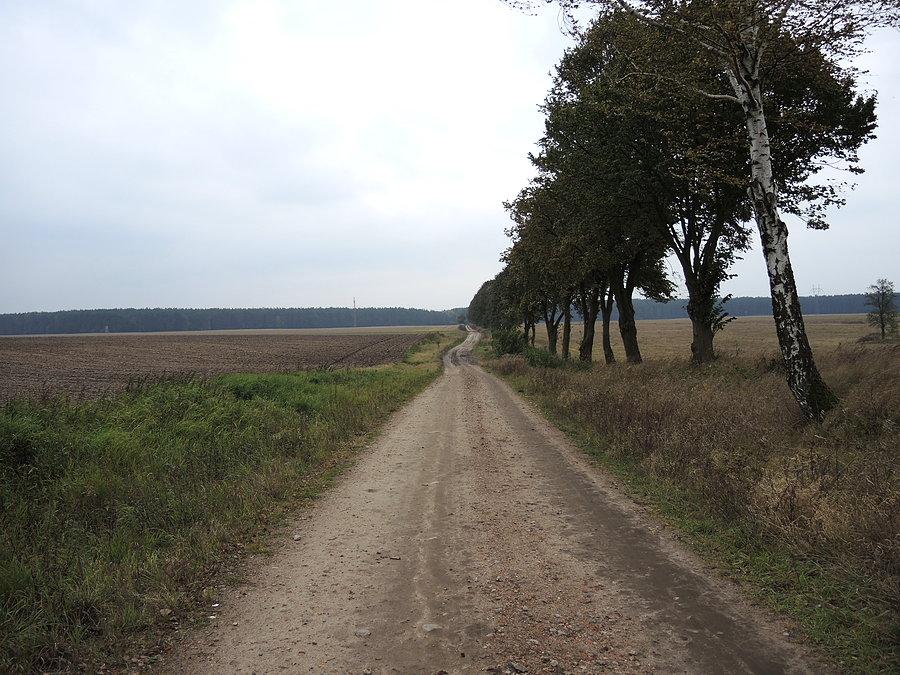 W kierunku jezior