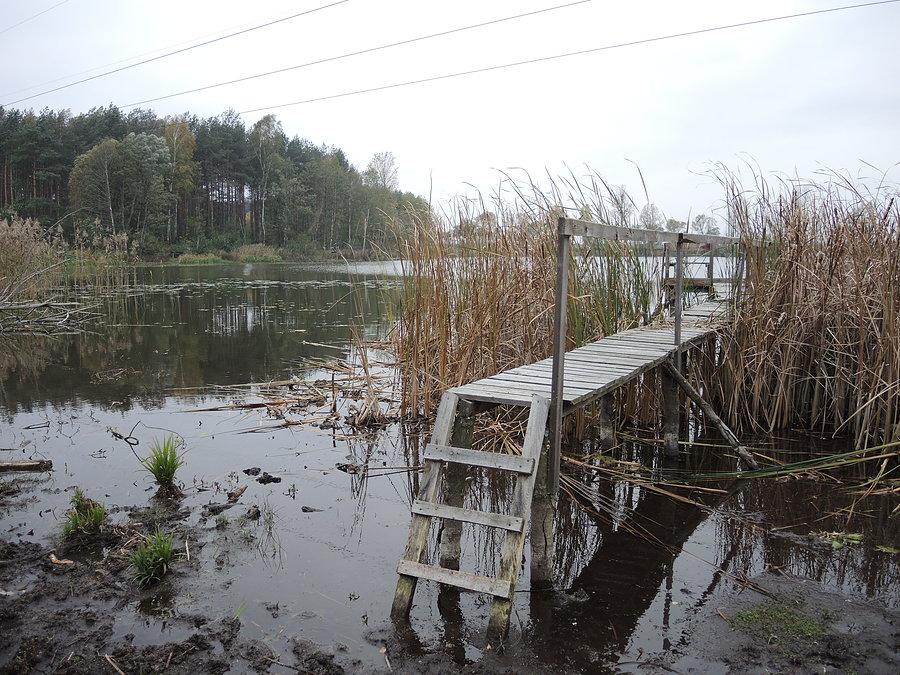 Drugie jezioro jest dość niedostępne / brzegi bardzo zarośnięte