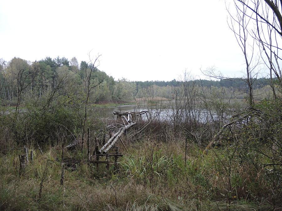 Trzecie jezioro - najmniejsze i najbardziej zarośnięte