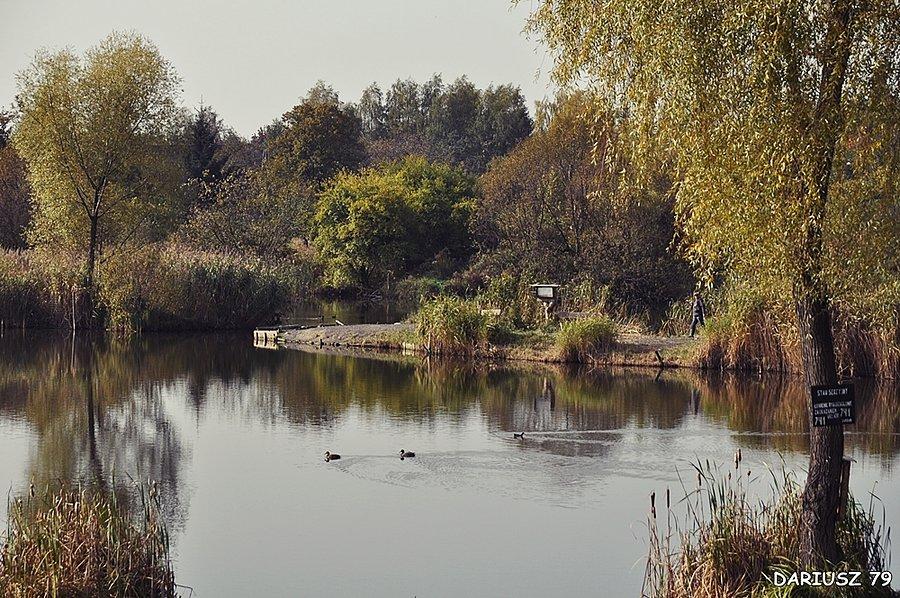 Ruda Śląska Staw przy ulicy Nowobukowa