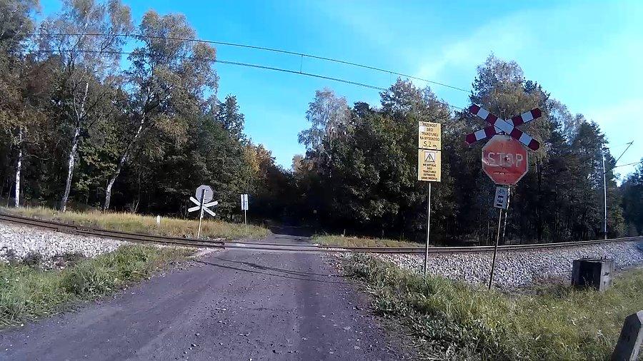 Leśny przejazd kolejowy