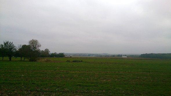 Pola w Kiełczewicach