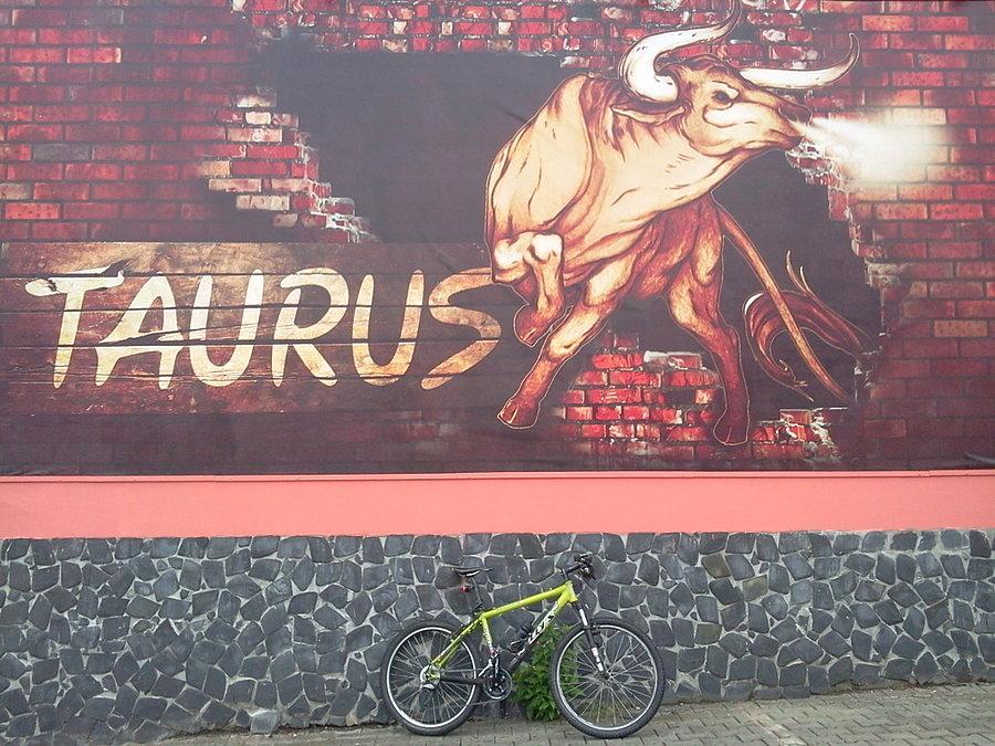 Taurus