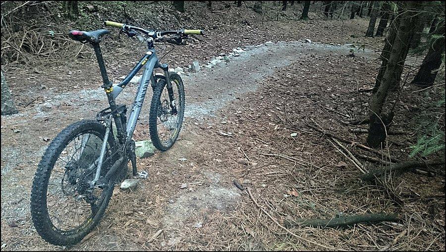 Początek Kross Trail Suliwoods