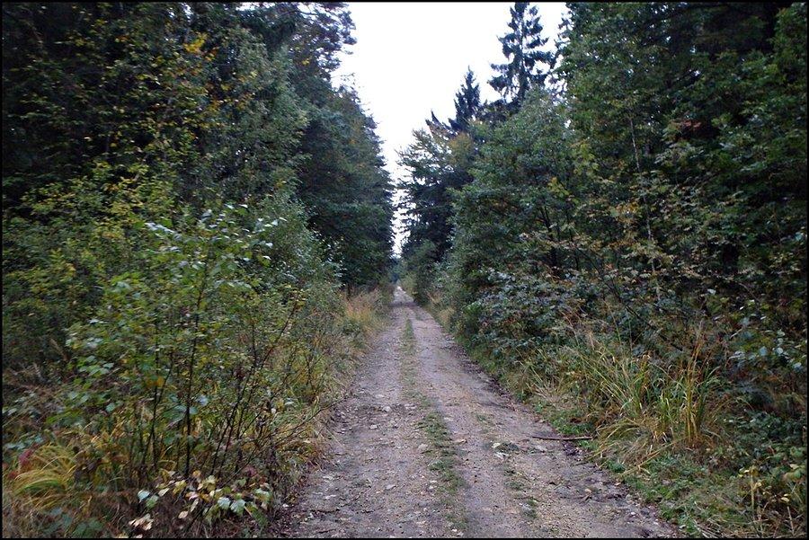 Długa prosta pod górkę