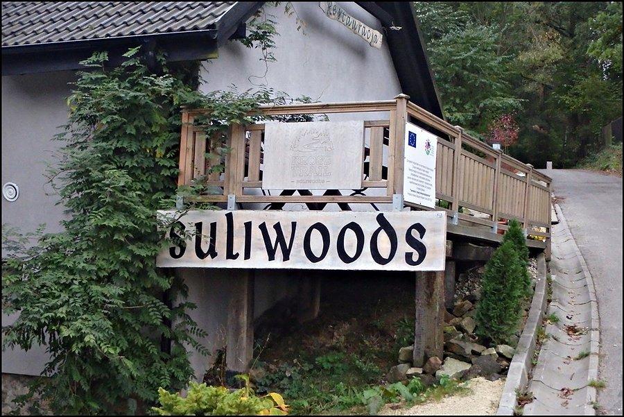 Zielone Wzgórze Suliwoods