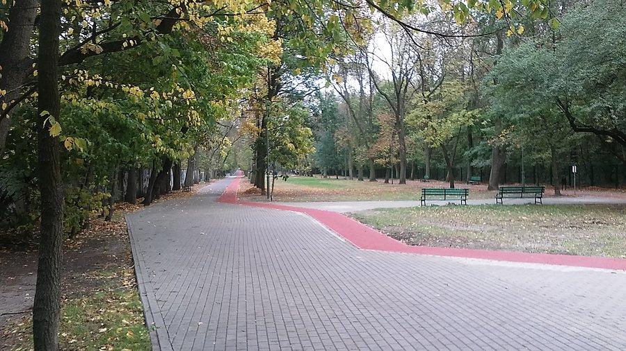 Łódź, Zdrowie