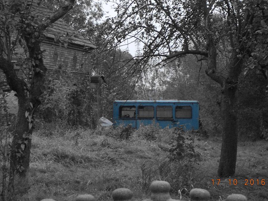 Kolejny niebieski Osinobus (tym razem chyba przyczepa)