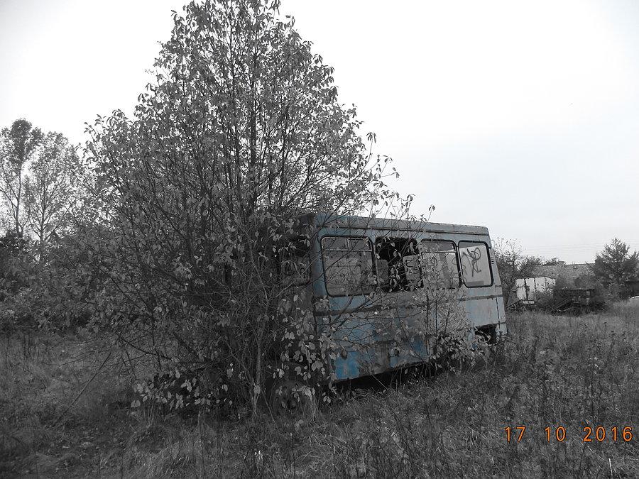 Star Osinobus w Henrykowie. Nascie lat temu wyglądał tak samo, tylko nie było tego drzewa zasłaniającego część ramy spod kabiny Stara