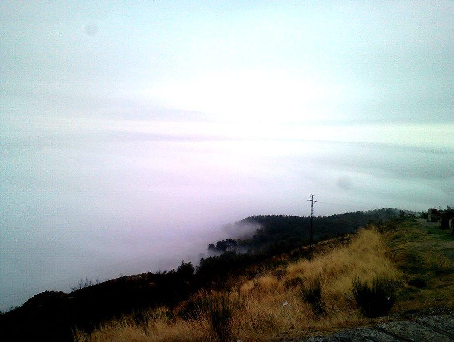 Torre