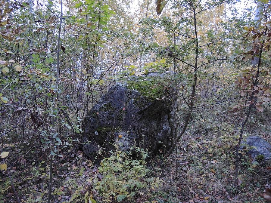 Długość 2,0 m / wysokość 1,5 m / pomnik przyrody od 1992 roku