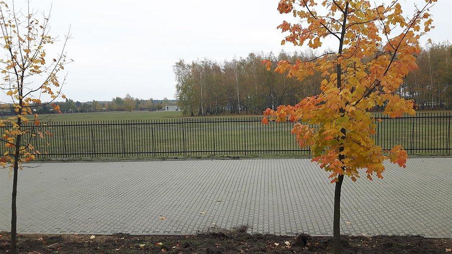 Cmentarz Południowy - Antoninów