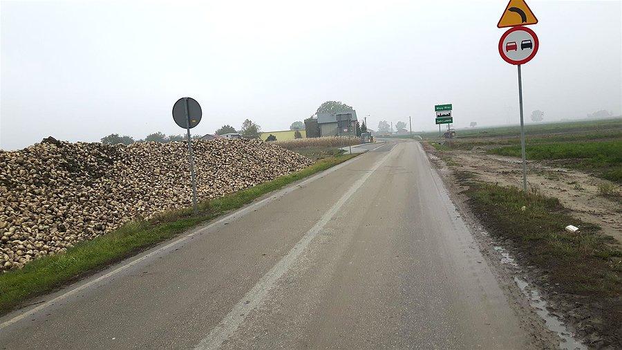 Zbiory buraków cukrowych w Wąsach Wsi